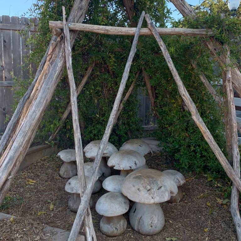 Magnolia Feed and Supply Wooden Mushrooms