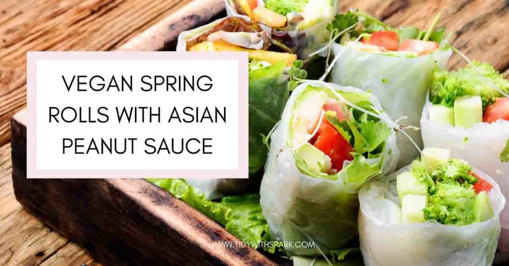 Vegan Spring Rolls with asian peanut sauce