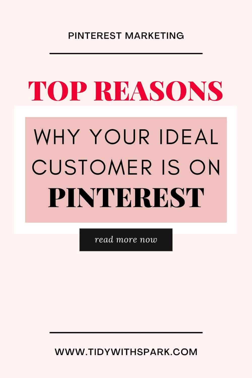 Is your ideal customer on pinterest promotional image for tidy with spark blog