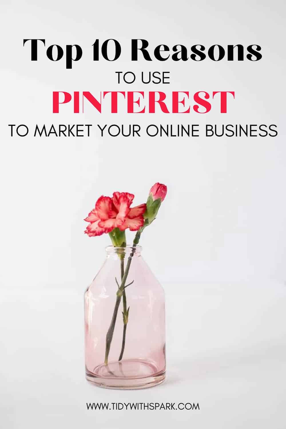 Top 10 reasons to use Pinterest promotional image for tidy with spark blog