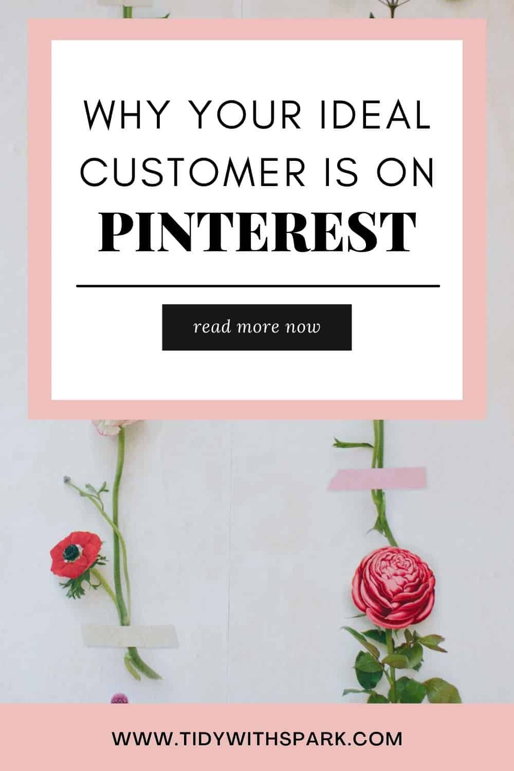 Is your ideal customer on pinterest promotional image for tidy with spark blog