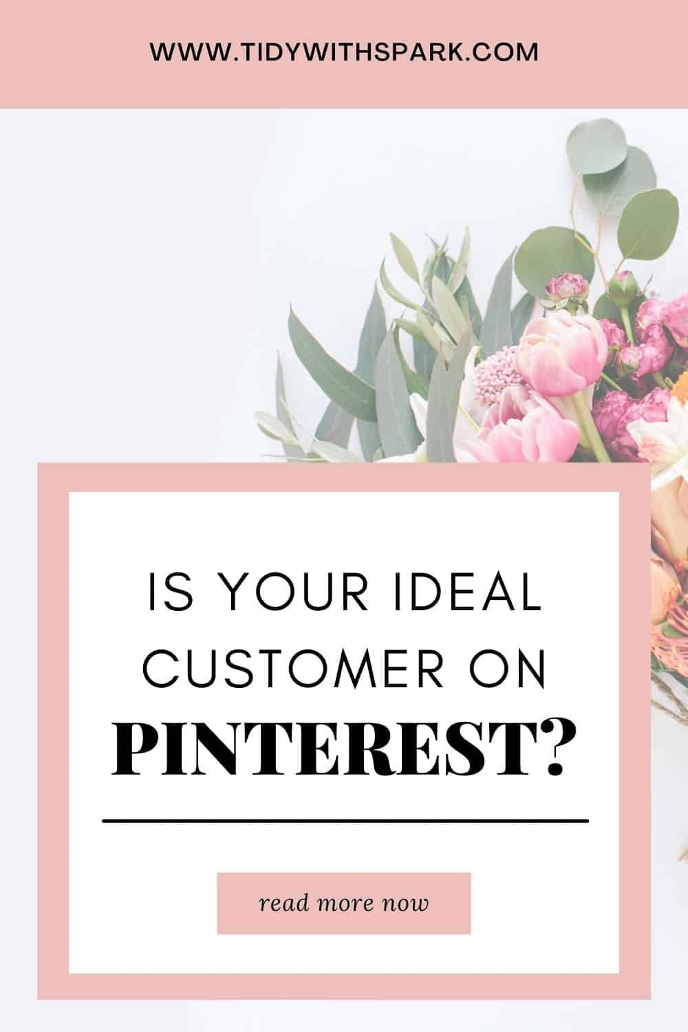 Is your ideal customer on pinterest promotional image for tidy with spark blog