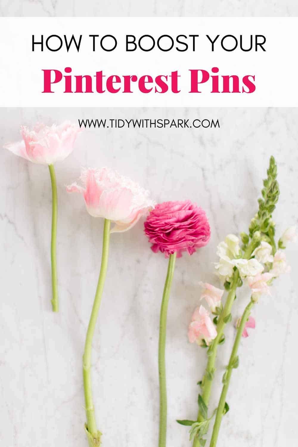 Promotional image for How to get your pin noticed on Pinterest for tidy with spark blog