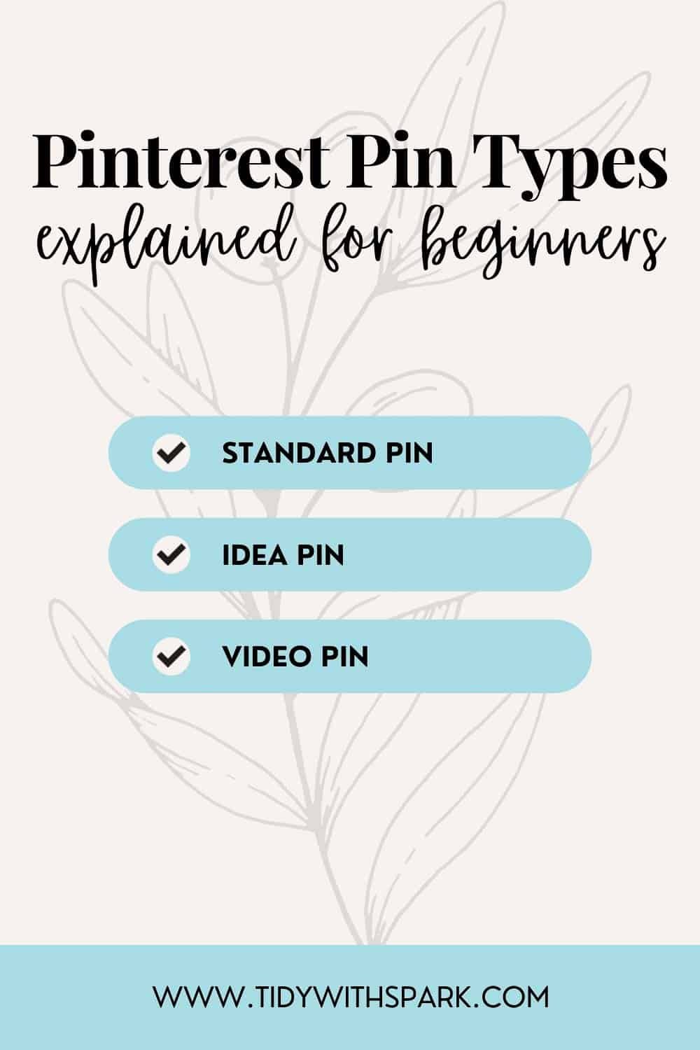 Promotional image for Pinterest Pin Types post for tidy with spark blog