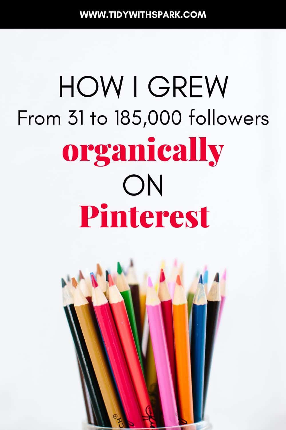 How I grew my Pinterest account from 31 to 185K followers in 8 months promotional image for tidy with spark blog