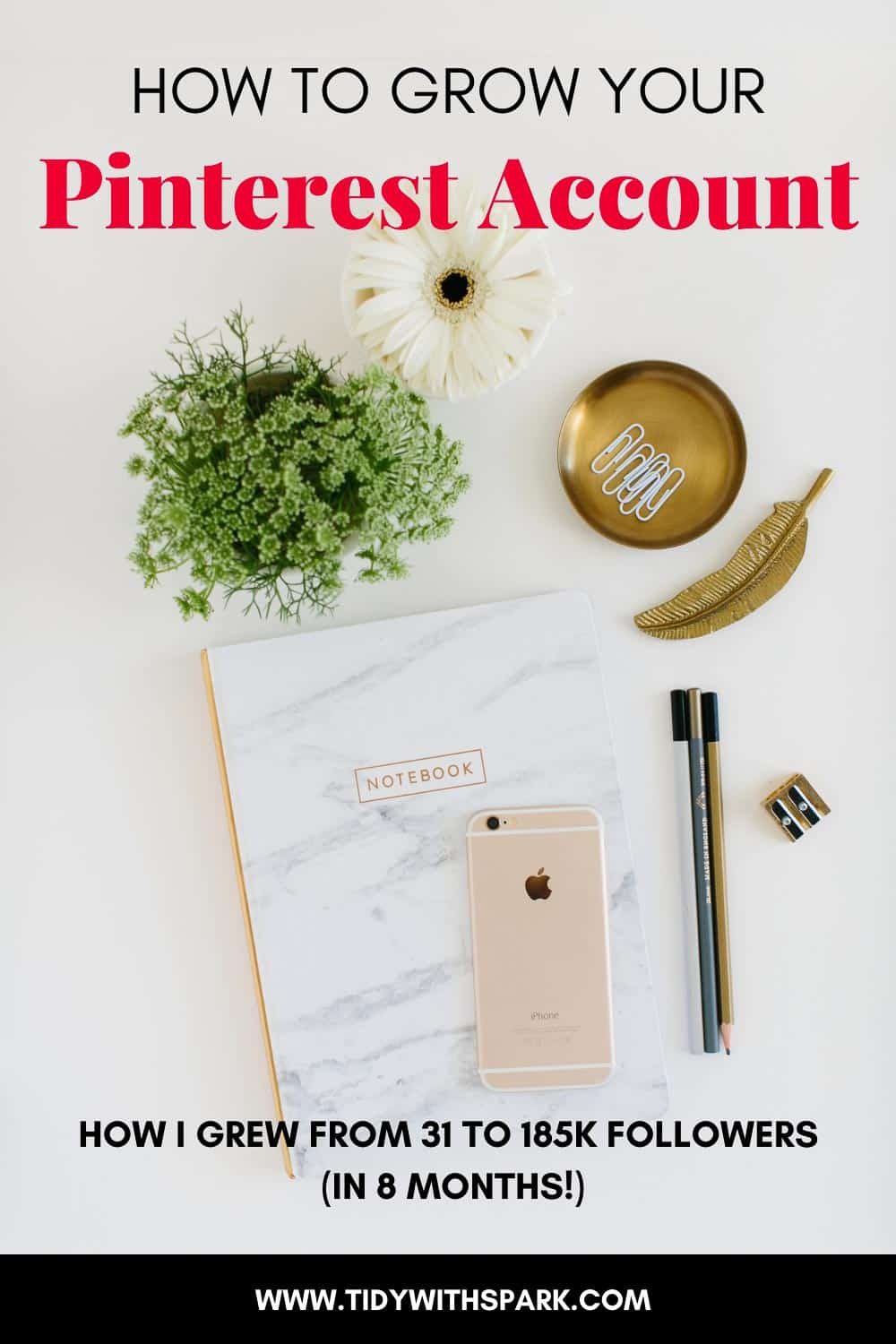 How I grew my Pinterest account from 31 to 185K followers in 8 months promotional image for tidy with spark blog
