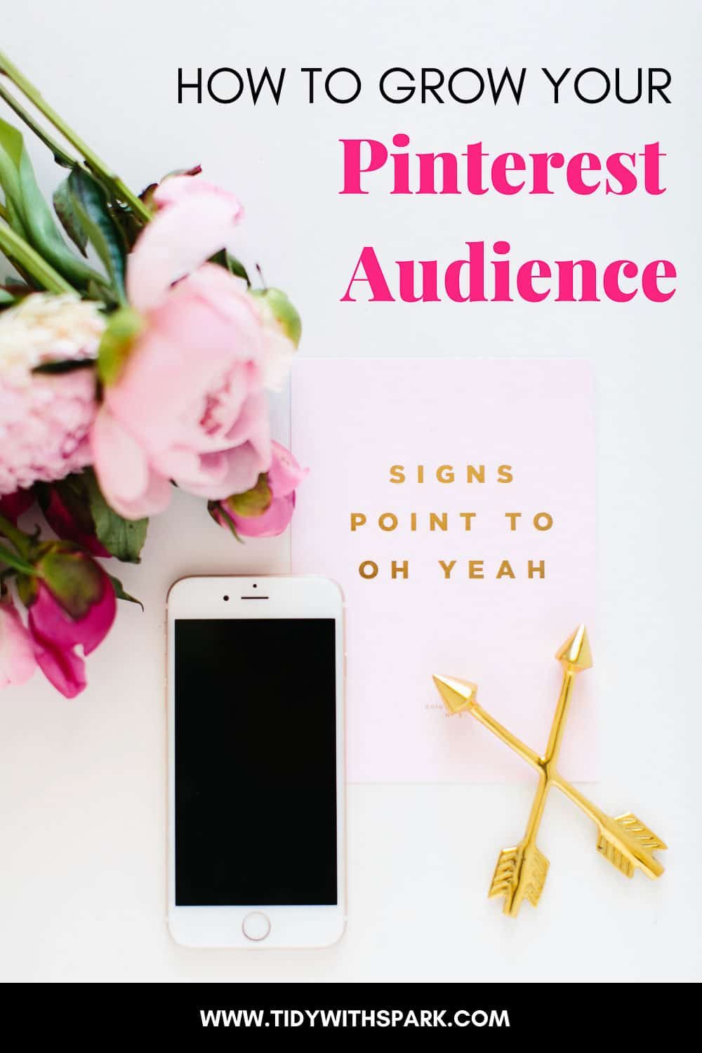 How I grew my Pinterest account from 31 to 185K followers in 8 months promotional image for tidy with spark blog