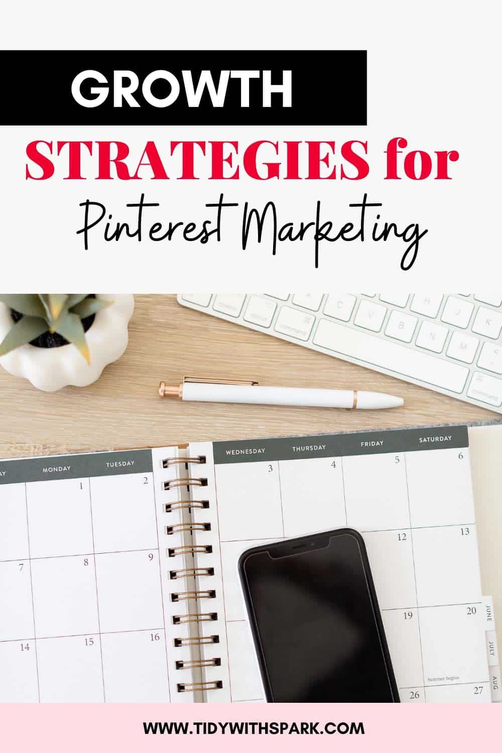 How I grew my Pinterest account from 31 to 185K followers in 8 months promotional image for tidy with spark blog