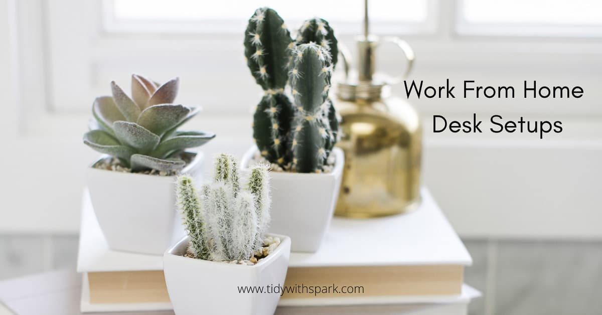 potted cacti on top of books on desk with text overlay work from home desk setups